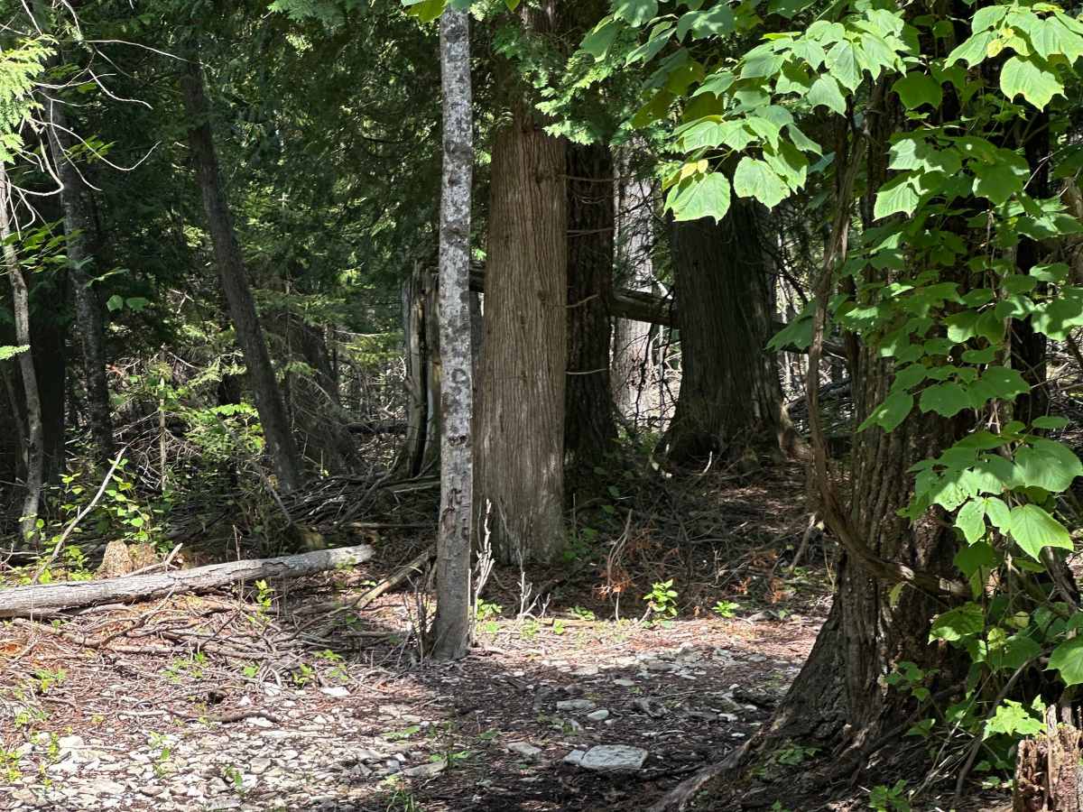 Lower Ledge  photo 4