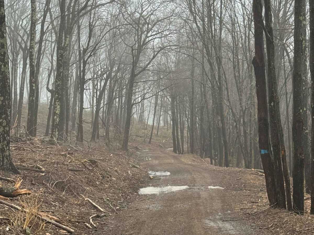 Clendennin Run Road photo 4
