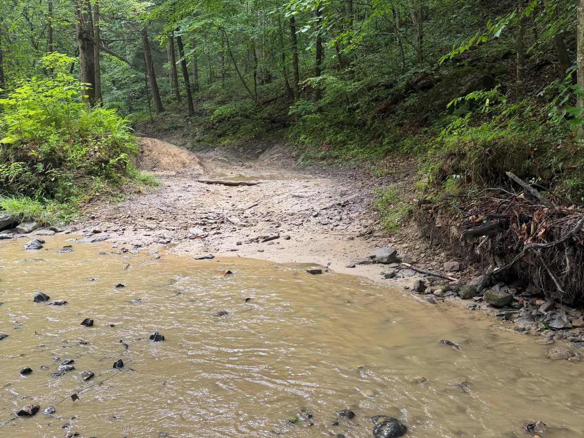 Little Buckhorn Creek Trail photo 3