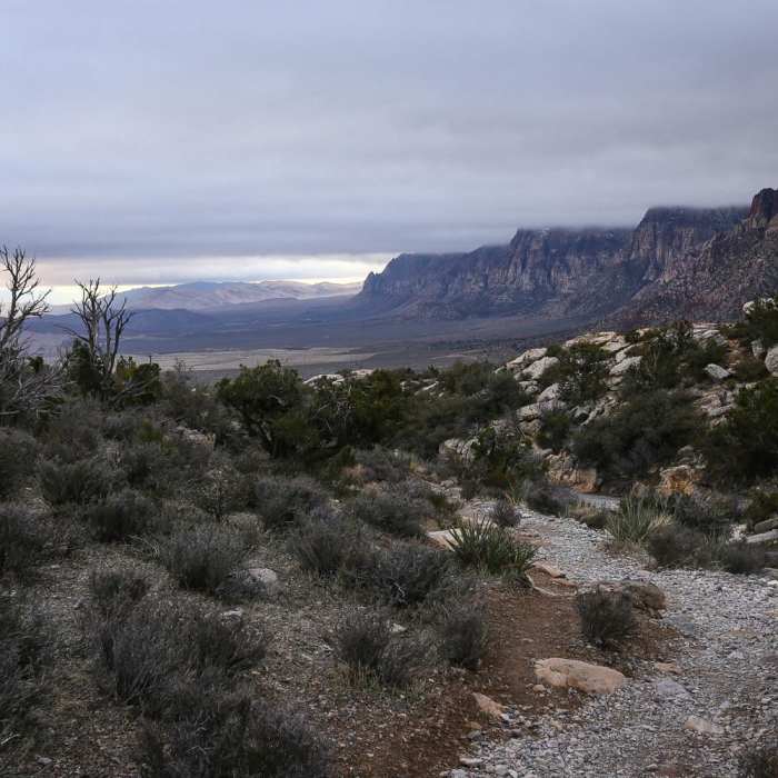 Near Keystone Thrust