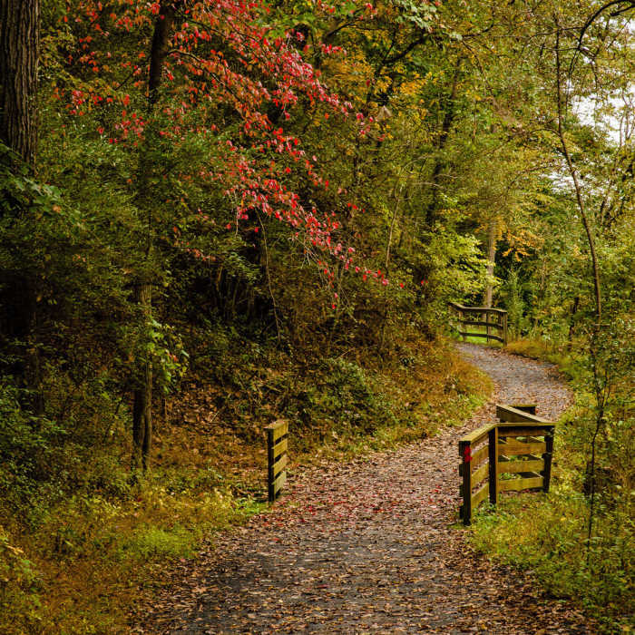 Following along the river Near Trexler Border Trail