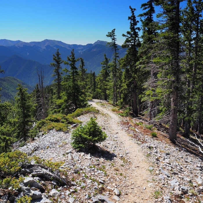 Near Yerba Canyon Trail #61