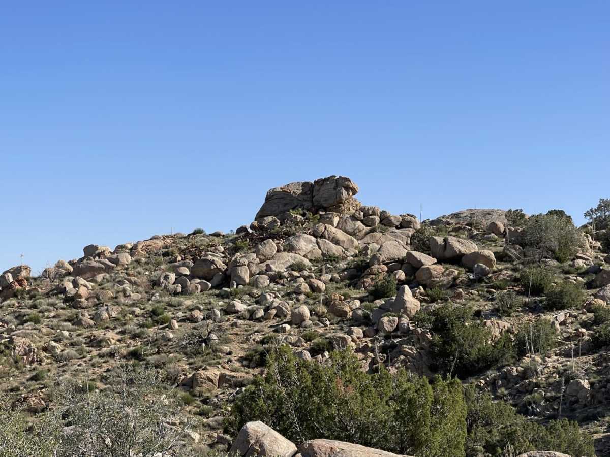 Oak Springs trail photo