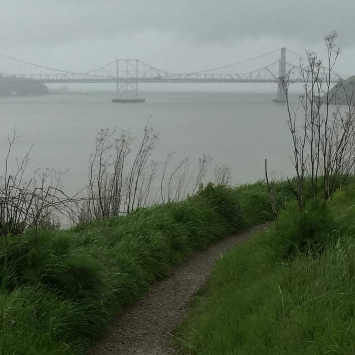 Enjoy this view looking out from the Benicia Bay Trail toward the Zampa Memorial Bridge. Near Benicia Bay Trail