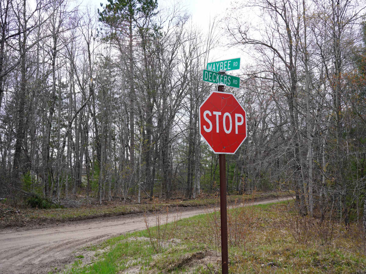 Maybee-Robinson Lake Road trail photo