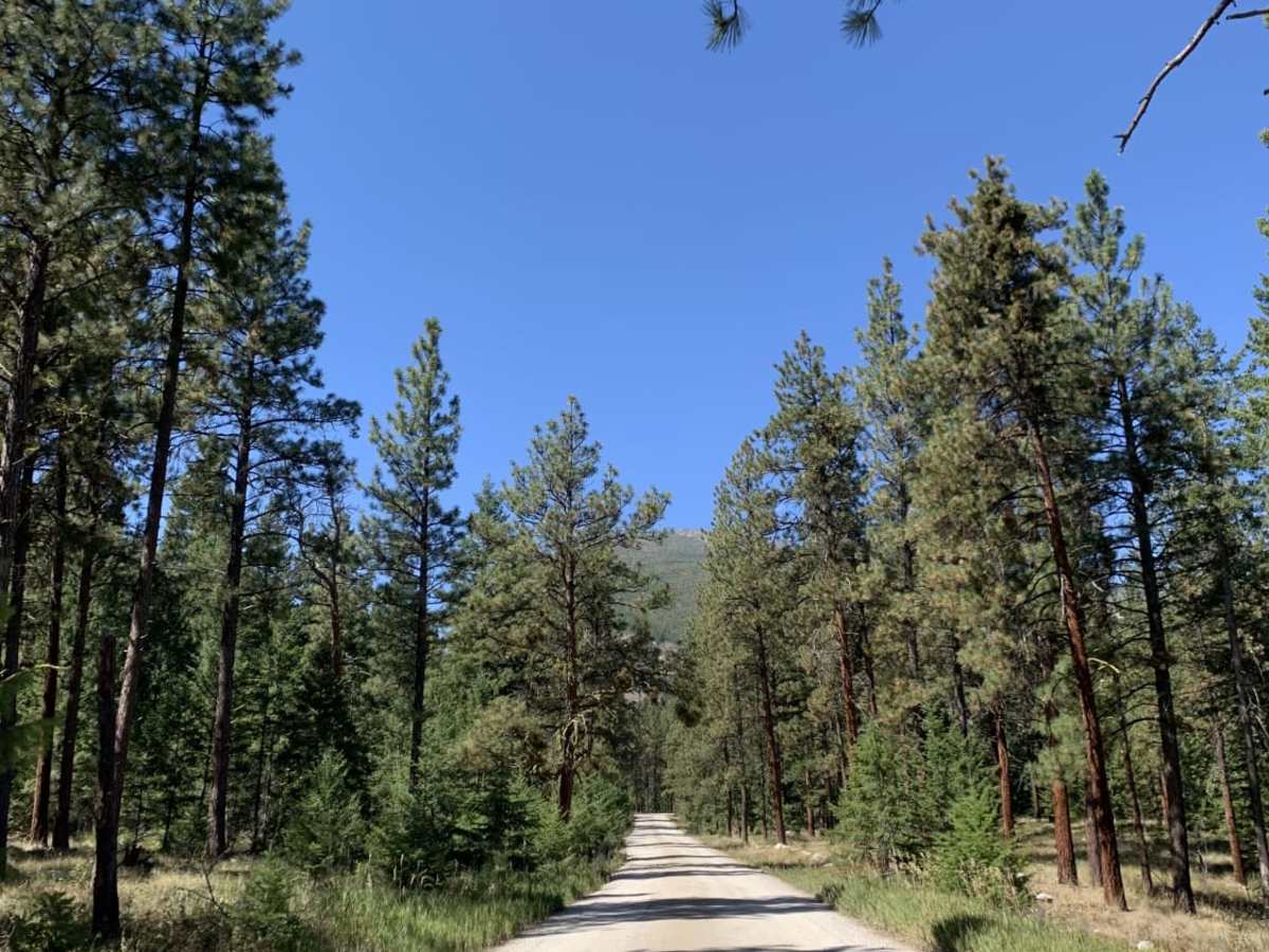 Mill Creek Trailhead photo 5