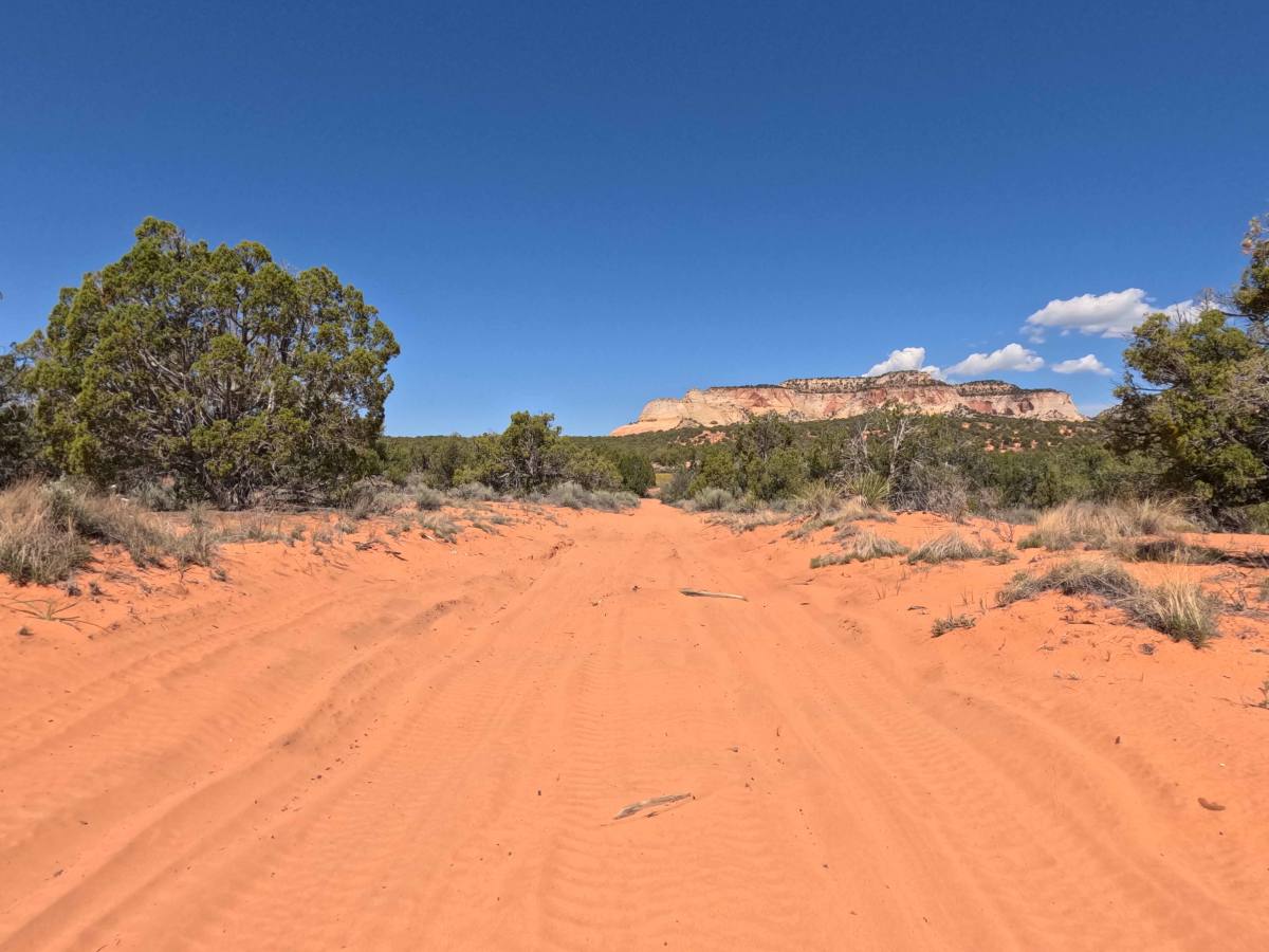 BLM 106A photo 2