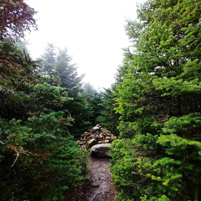 Near Four Summits Loop (Tom, Field, Willey, Avalon) Near Four Summits Loop (Tom, Field, Willey, Avalon)