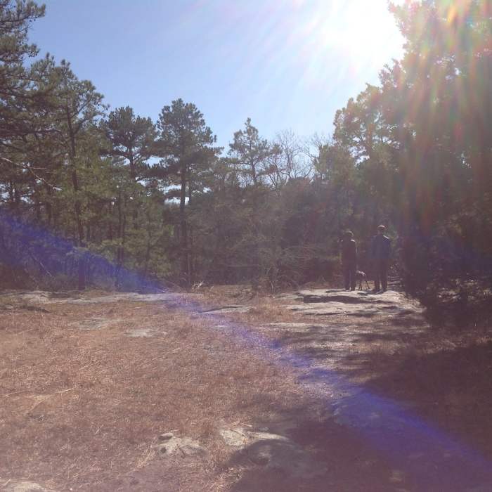 Near Trail Through Time