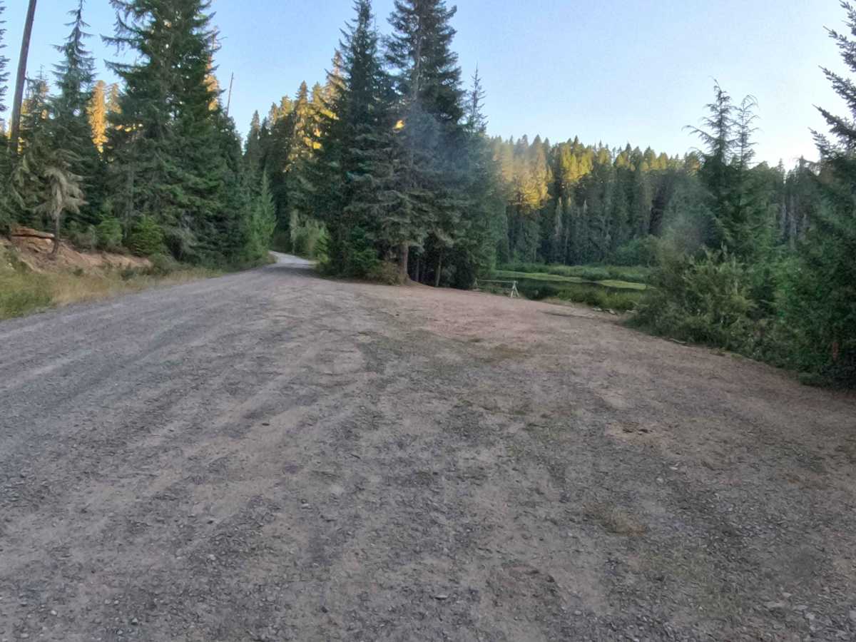 Straight Creek Road - FS 1162000  trail photo