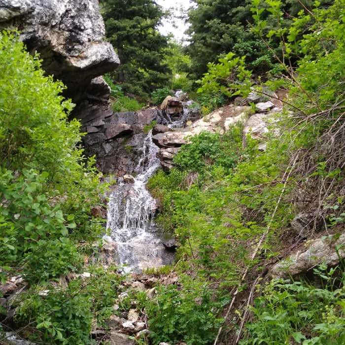 Near Barnard Canyon