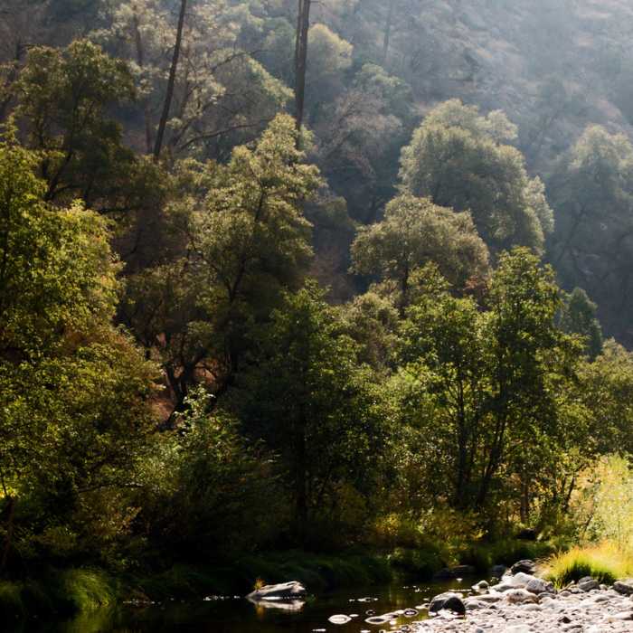 Near Hites Cove Trail