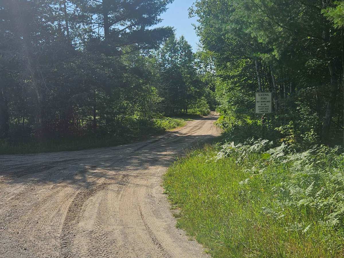 Bo's Trail photo 5