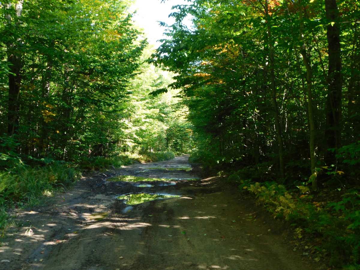Camp 7 Trail photo 3