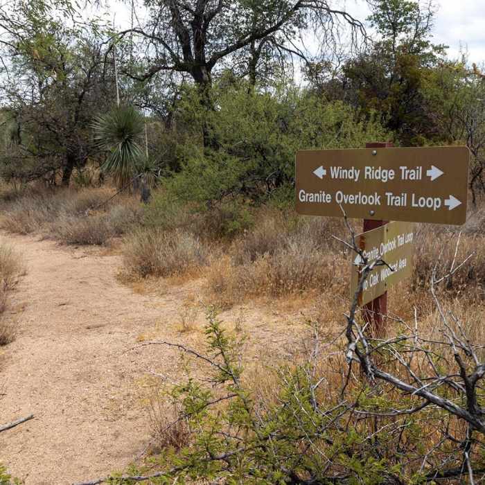 Near Windy Ridge Trail