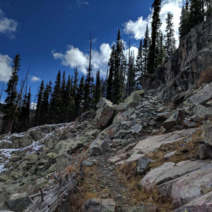 Near West Grouse Creek Trail #2129