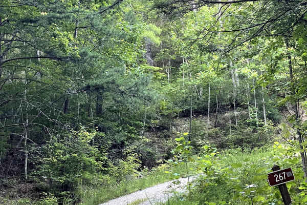 Kelley Hollow