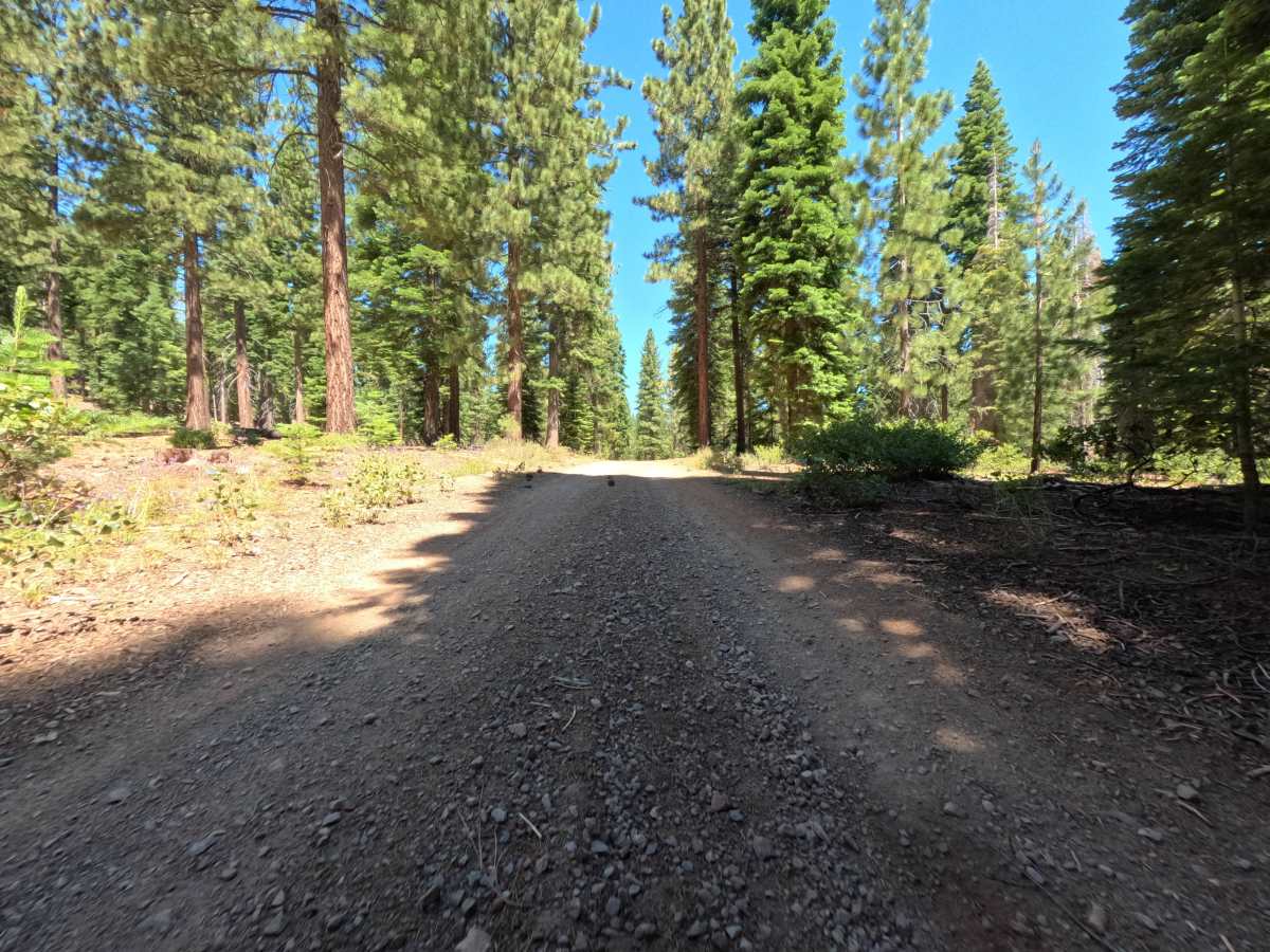 Bald Mountain Road trail photo