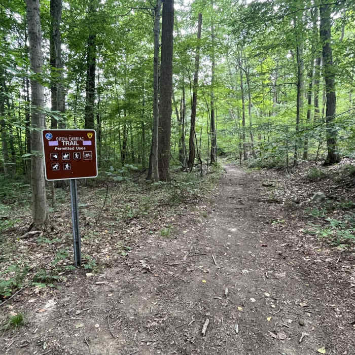 Near Waterloo - Cardiac Loop Near Waterloo - Cardiac Loop