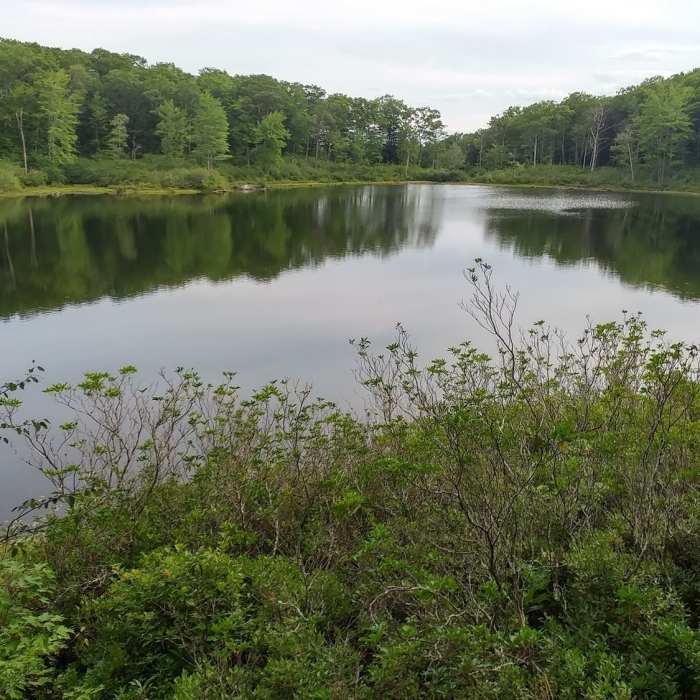 Near Wantastiquet Mountain Trail