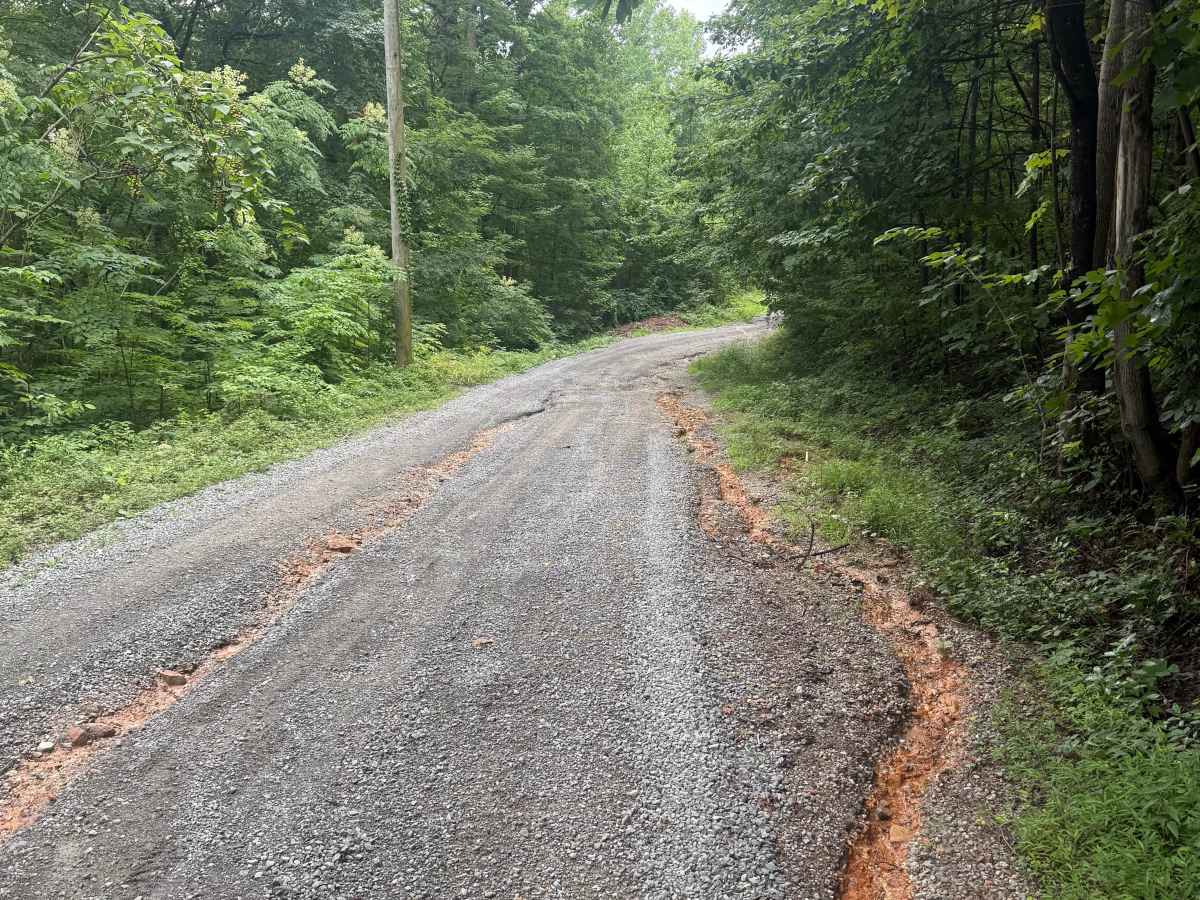 Old Kentucky Road photo 3