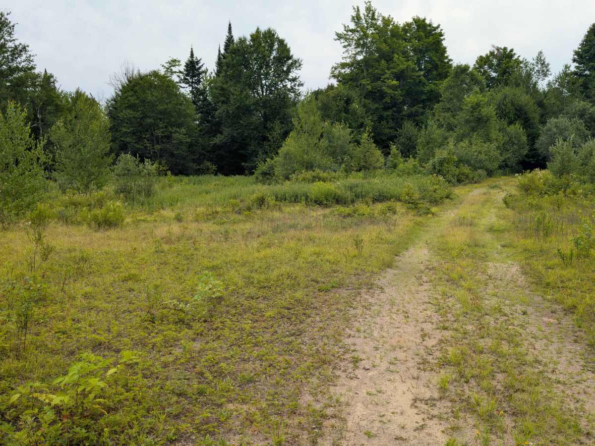 Goldmine Trail photo 4