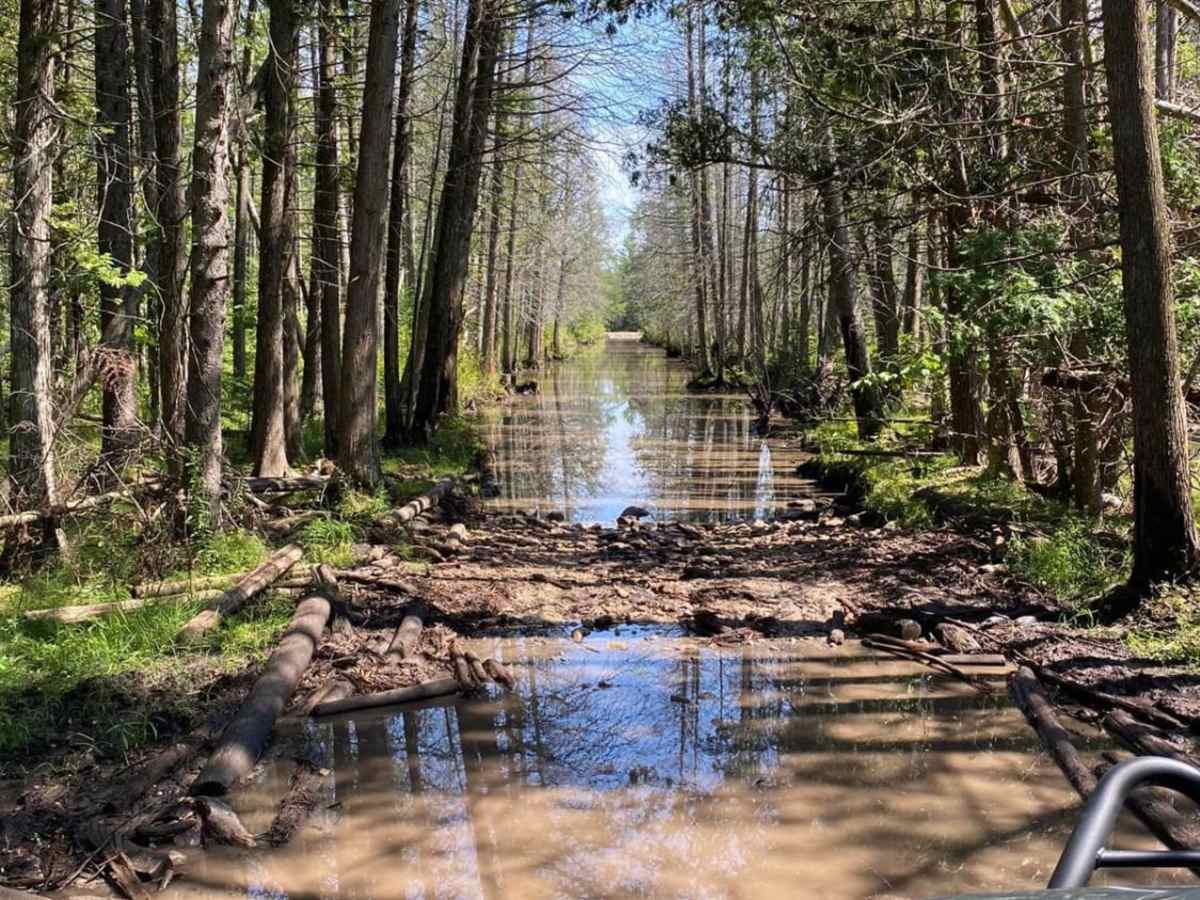 Conners Hole/Log Jam photo 2
