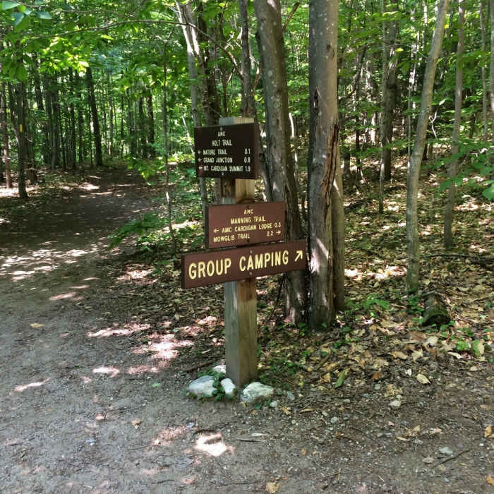 Near Holt Trail
