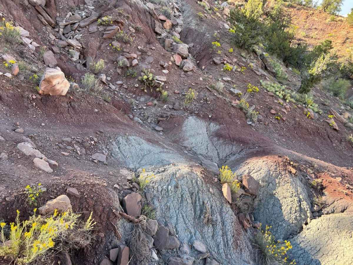 Virgin Overlook photo 6