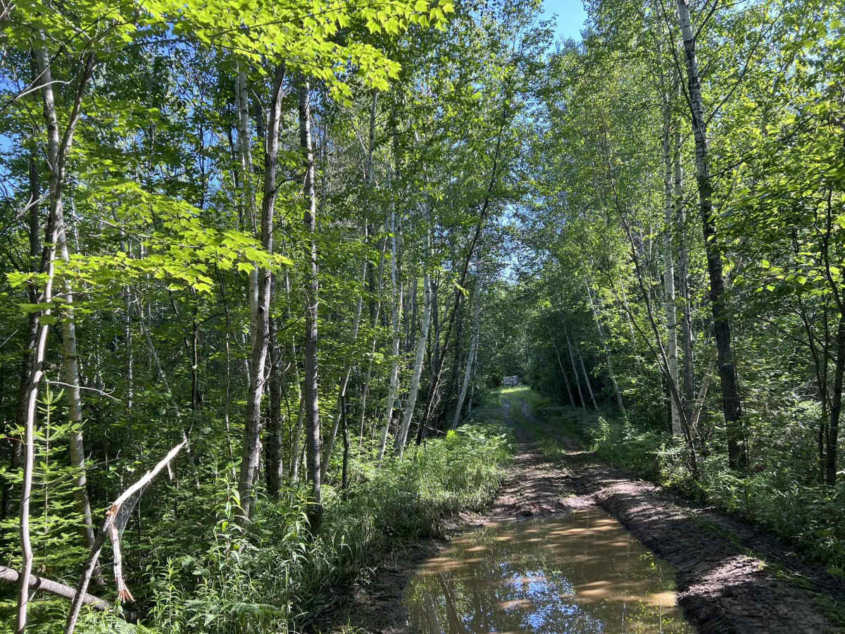 Wolf River Trail Forest County ATV/ SxS Access Trail photo 4
