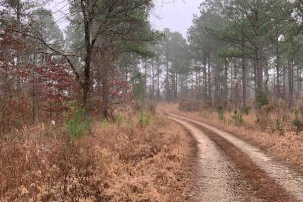 Hidden Camp Trail
