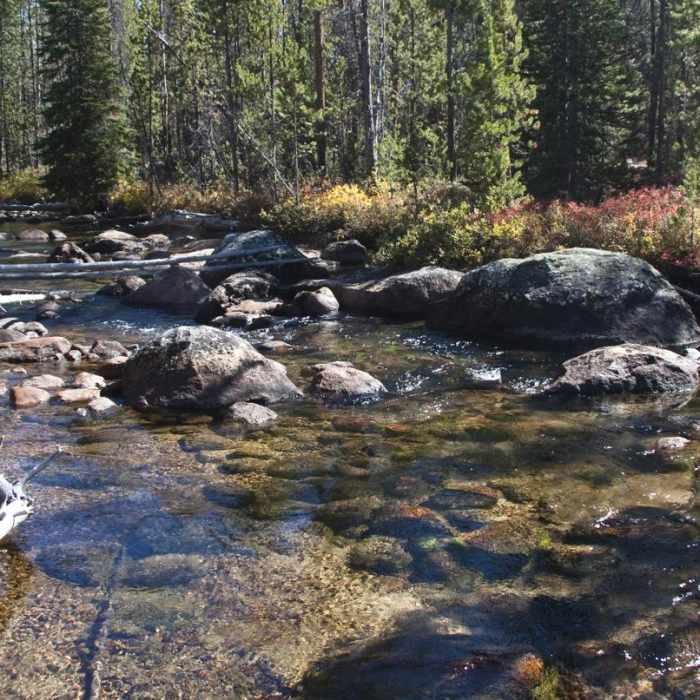 Near Hell Roaring Lake