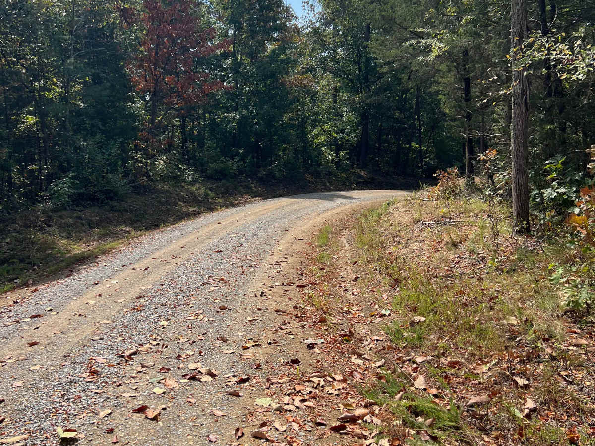Shaw Branch Road photo 5