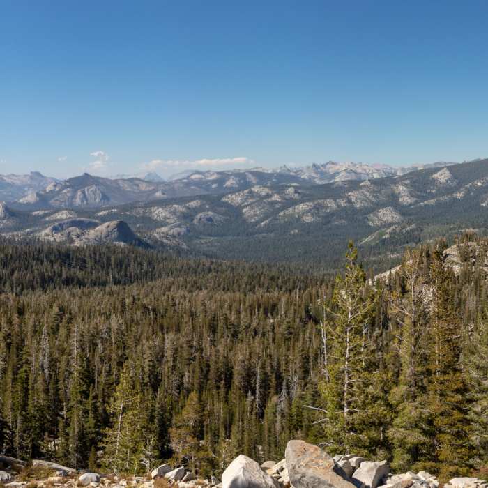 Near Chilnualna Creek Trail