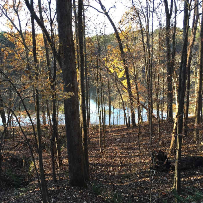 Near Reedy Creek Lake Trail