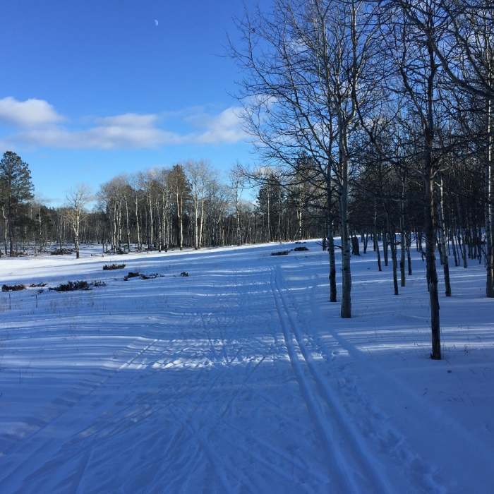 Groomed trail on the B loop Near Big Hill Trail Outer Loop