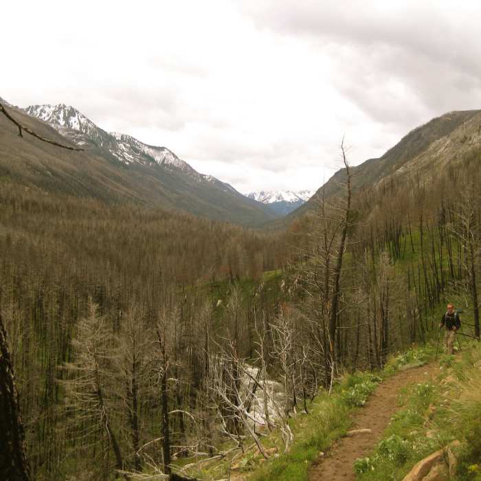 The West Fork of the Boulder River drainage. Near West Fork Boulder River