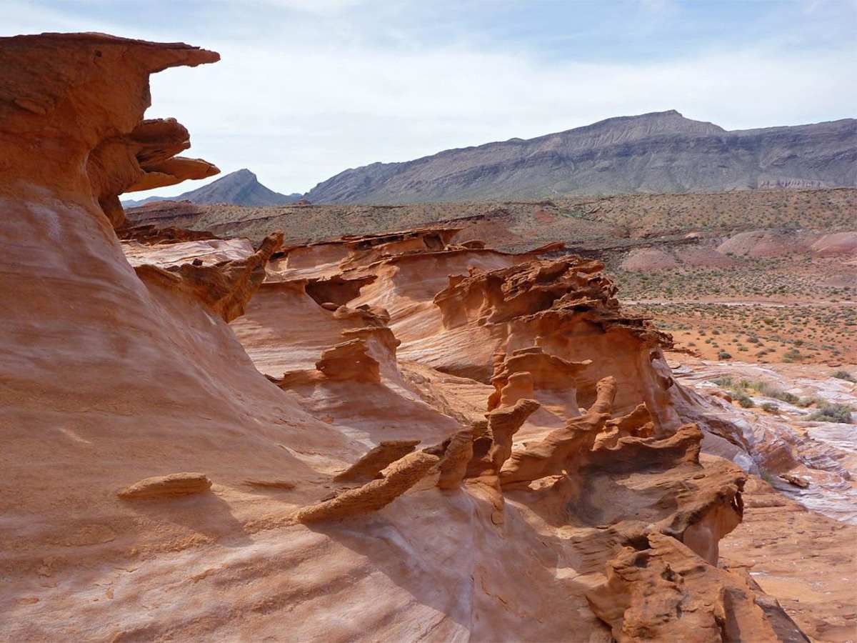 Gold Butte to Little Finland photo 5