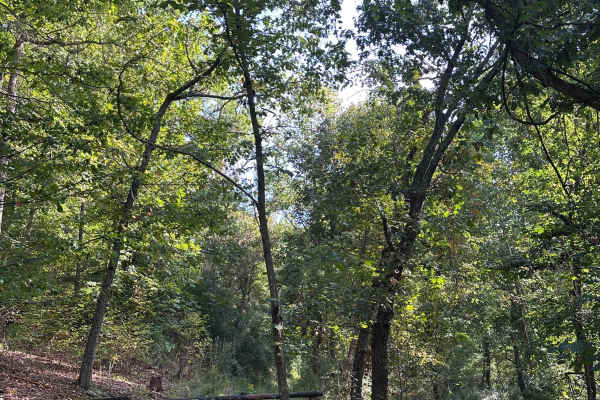 McClintic Bridge