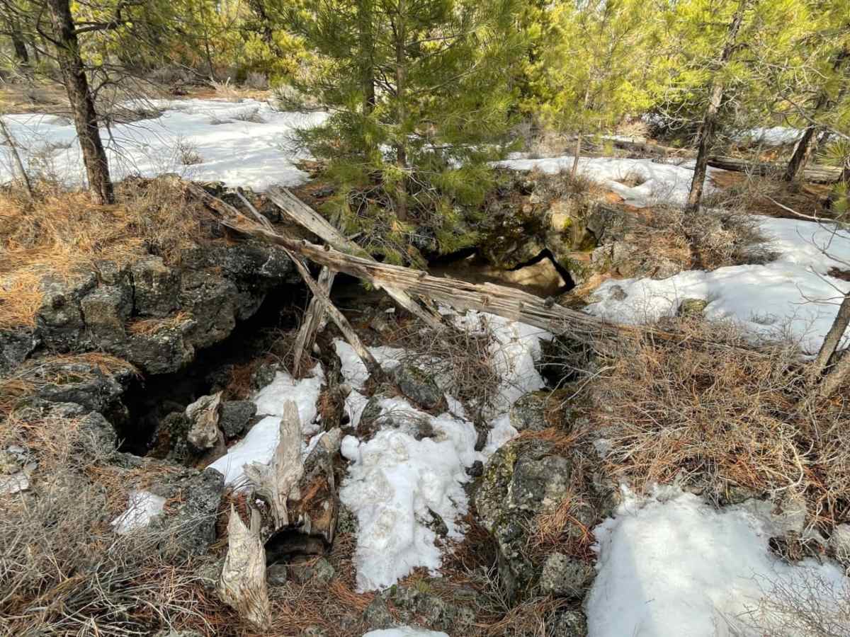 Lava Top Butte Caves photo 3
