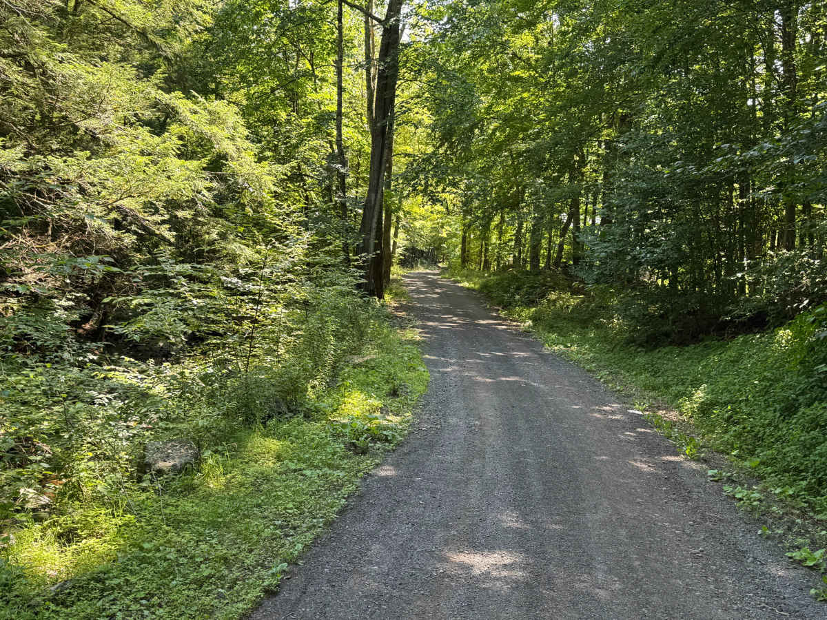 Mill Hollow Road photo 6
