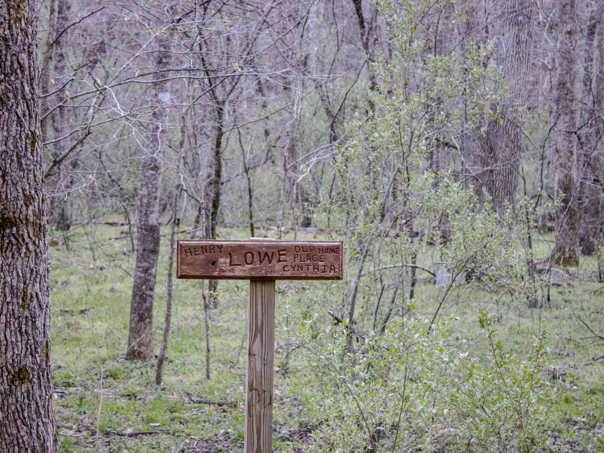 Lowe Cemetary Road trail photo