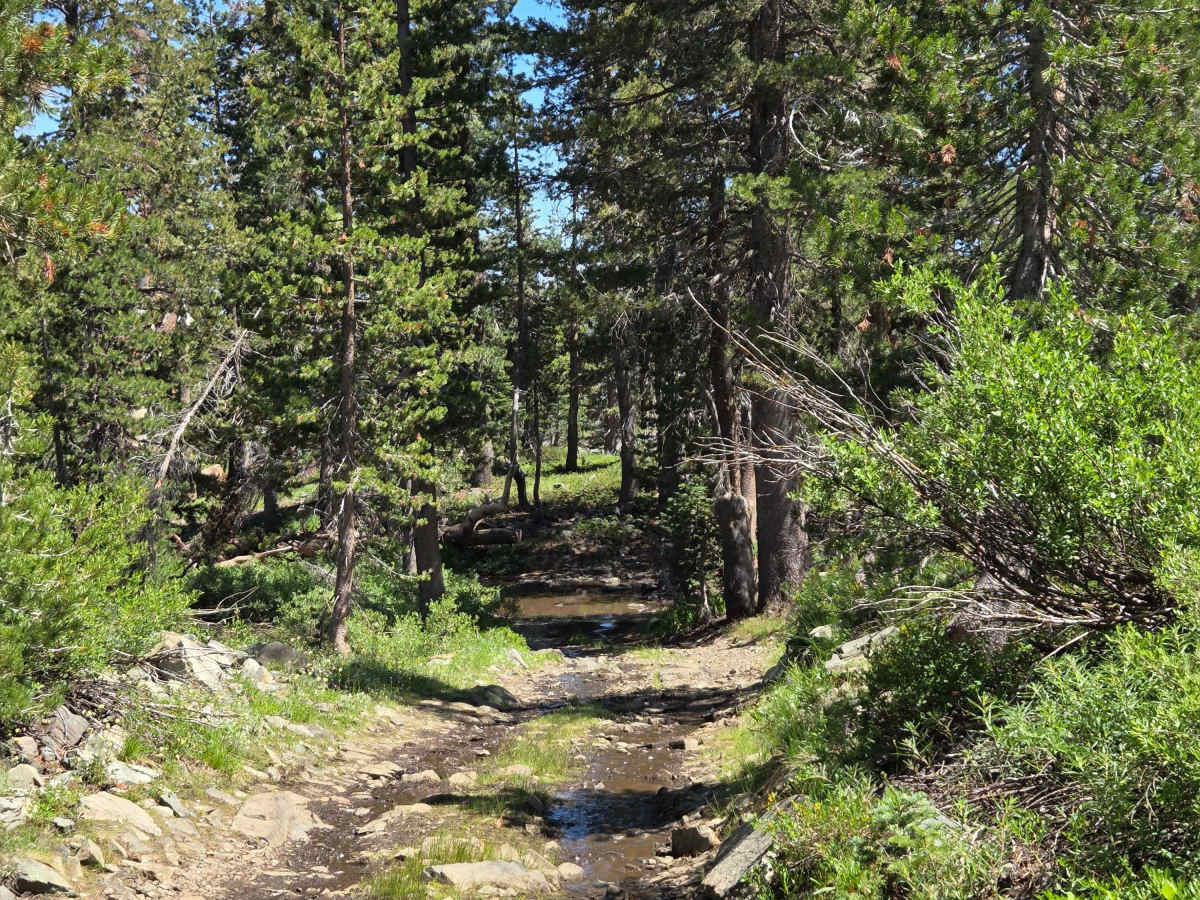 Excelsior Mine photo 4