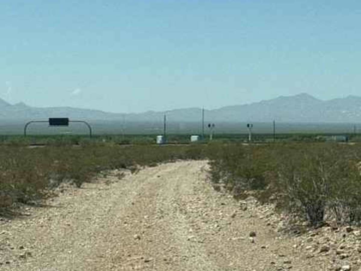 SS1169 photo 3