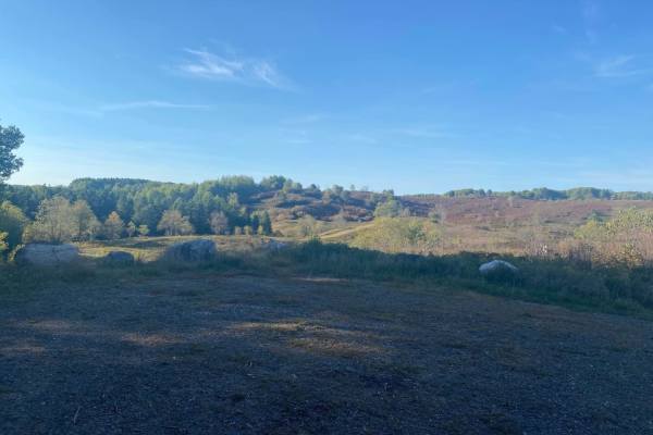 Barrens Loop
