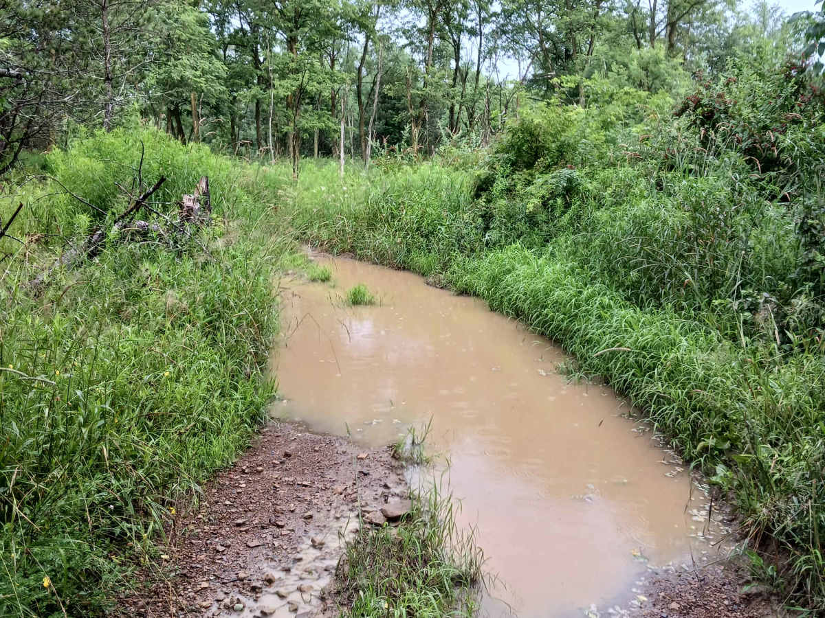 Trail 3E - Rock Run Recreation Area photo 5