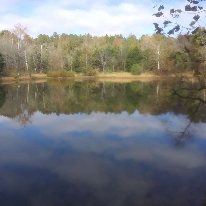 Near Brumley Nature Preserve North