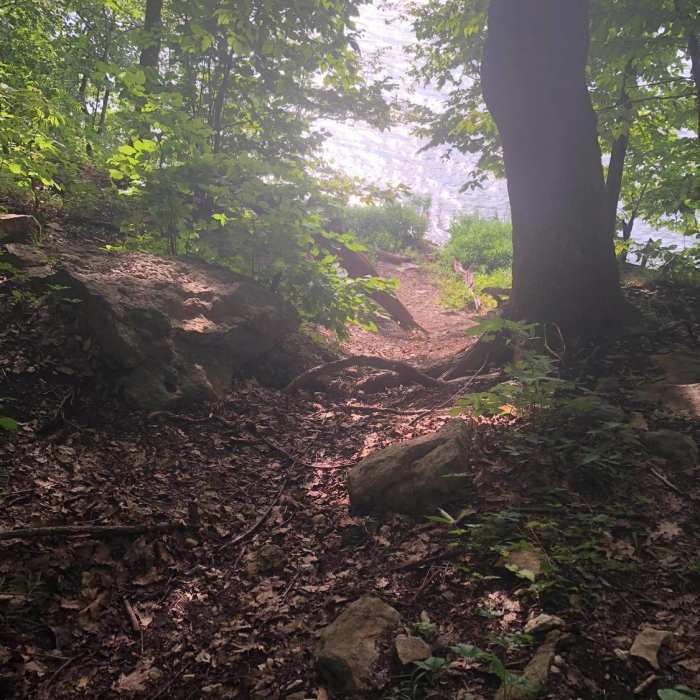 Near Rock Ledges Loop