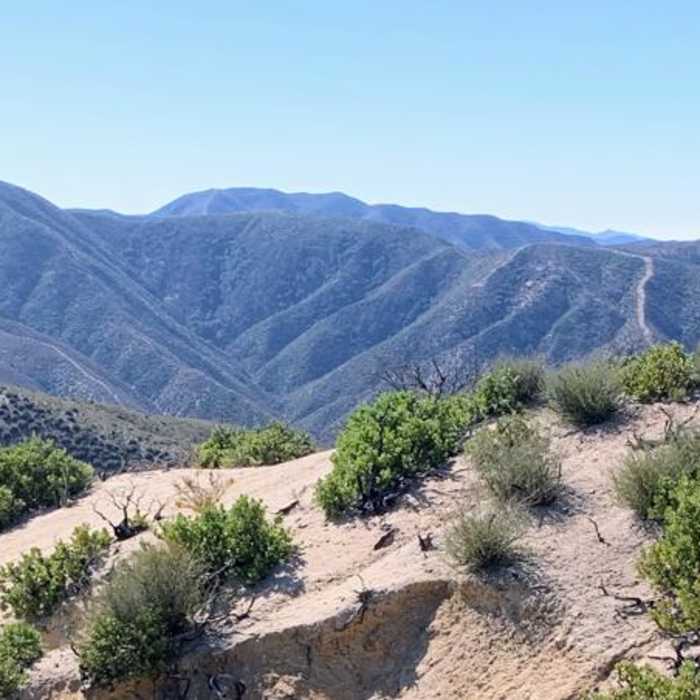Near Lake Hughes to Sawmill Campground