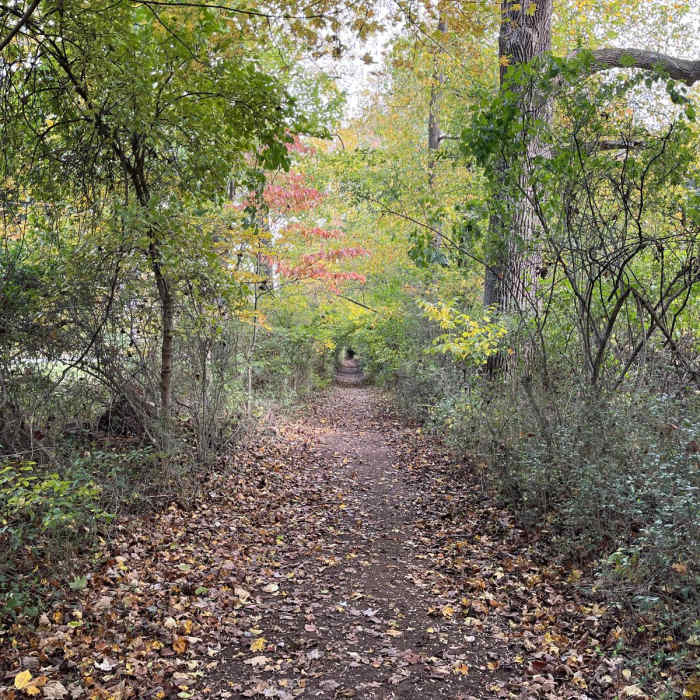 Near Washington Crossing State Park Loop Near Washington Crossing State Park Loop